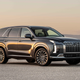 A Hyundai Palisade (pictured not in flames)